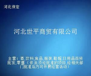 河北世平商貿 打造專業貿易經紀服務，助力區域經濟繁榮